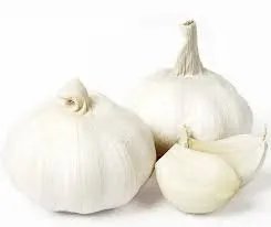 বড় রসুন