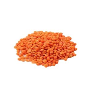 মুসুর ডাল